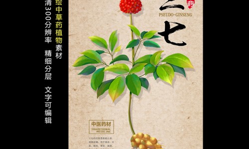 三七粉对心肌缺血起作用吗-心肌缺血三七粉怎么吃法网- 三七粉对心肌缺血起作用吗知识,分享心肌缺血可以吃三七吗